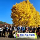 제697차(11월03일)첫째주 경기도 가평 운악산 이미지