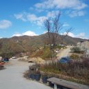 별빛농장 이미지