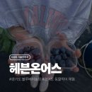 헤븐 - 서귀포시 남원회관로 65 | 용인 블루베리체험농장 헤븐온어스 후기