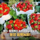 듬뿍농원 네이버블로그