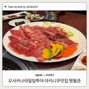 와규1262 | 🇯🇵 오사카3박4일가족여행 • 오사카나라일일투어 가이드님 추천 야키니꾸맛집 명월관📍런치메뉴추천...