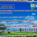 약초흑염소 이미지