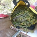 금서면사무소 이미지