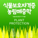 모든 식물은 병이든다! 나무의사, 식물보호자격증의 필수 농림해충학에 대하여 알아보자