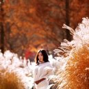 행복추구