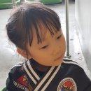 용인대 천무관 이미지