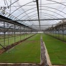 인성정미소 이미지