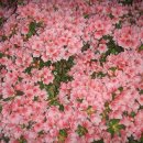 한우리교회 이미지