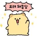 투배배케이크