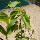 척산농장 이미지