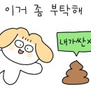수복캠핑장 이미지