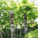 상화농장 이미지