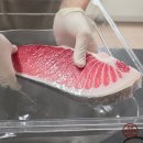 진도 한우 참치회 전문점 | 집에서 냉동 참치뱃살 참치전문점 처럼 즐기기 : 참다랑어 1번 뱃살 해동 및 숙성 후기