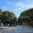 6439 | 큰마당캠핑장 접근성 좋은 캠핑장의 숨은 장점