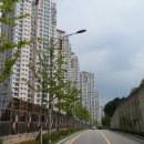 금곡대로 이미지