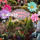 대구 4월 아이와 축제 가볼만한곳 네이처파크 플라워페스티벌