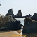 미국보청기 네이버블로그