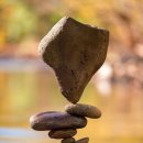 매일낚시터 이미지