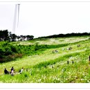 육백마지기