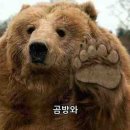 아이돌이랑 사진 찍어봤어요
