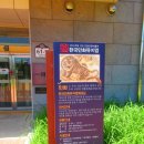 소원을 담은 우리그림 민화 | [강진 여행] 우리나라의 전통 그림, 민화를 한눈에 만나는 한국 민화 뮤지엄 나들이