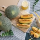 쌍둥이농장 이미지