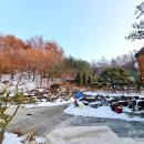 갈기산 포레스트 힐 이미지