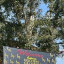 골든복싱 이미지