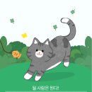 이파마시동물약국 | 8월 1주차-남은 한달을 알차게 살아야해