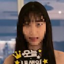팽미 이미지