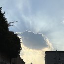 아미낙지 | [환승연애4] 11화 솔직 후기