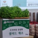 오색채 이미지