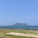 제주아를 이미지