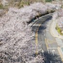 갈미한글공원 이미지