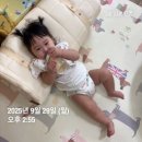 서구 어린이집 | 둔산동 샛별어린이집 후기