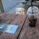 와하하게스트하우스 이미지