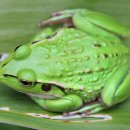 풍년감자탕 이미지