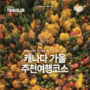 (주)하이엔드골프투어 이미지