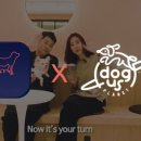 도그플래닛 이미지