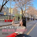 뱃고동낙지쭈꾸미 | 성북천 벚꽃야장 뱃고동낙지쭈꾸미 삼선교점 | 웨이팅 피하는 꿀팁, 벚꽃 현황