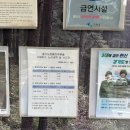 푸른숲동물약국 | [가평 잣향기 푸른 숲] 가평 드라이브 하이킹 숲 코스 추천