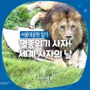 8월 10일 (일) 동물의 왕. 세계 사자의 날. 이미지