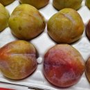 황새울농장 이미지