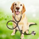 우리함께약국 이미지