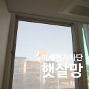 아미KSM 이미지