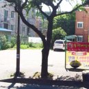 부영당구장 이미지