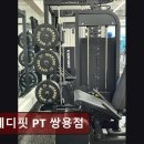 스테디스포츠