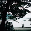 고요스테이 이미지