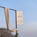 ‘부산’ 고슬로우 | 영도 흰여울문화마을 노을 오션뷰 카페