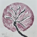 청주미즈맘산후조리원 이미지